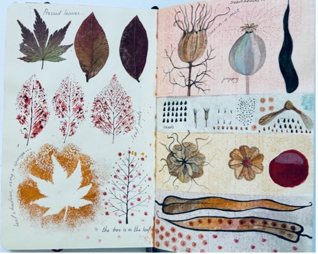 Pressed leaves and seedheads — sketchbook page by Jane Ray