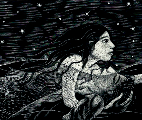 Scraperboard illustration of a girl with flowing hair swimming beneath the stars — Jane Ray