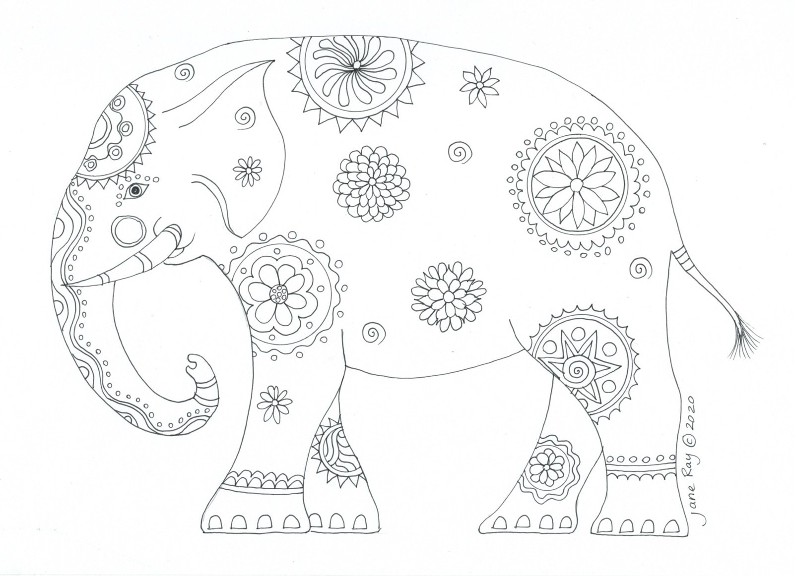 Elephant colouring sheet by Jane Ray