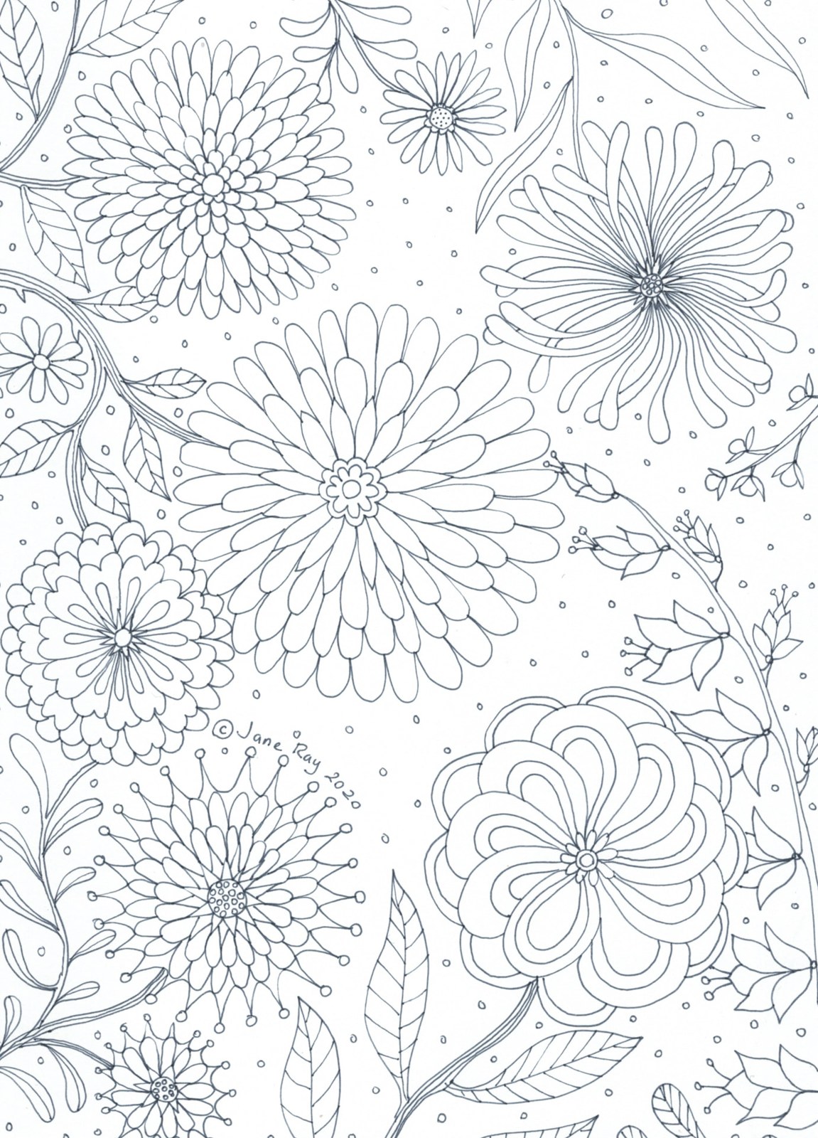 Flowers colouring sheet by Jane Ray