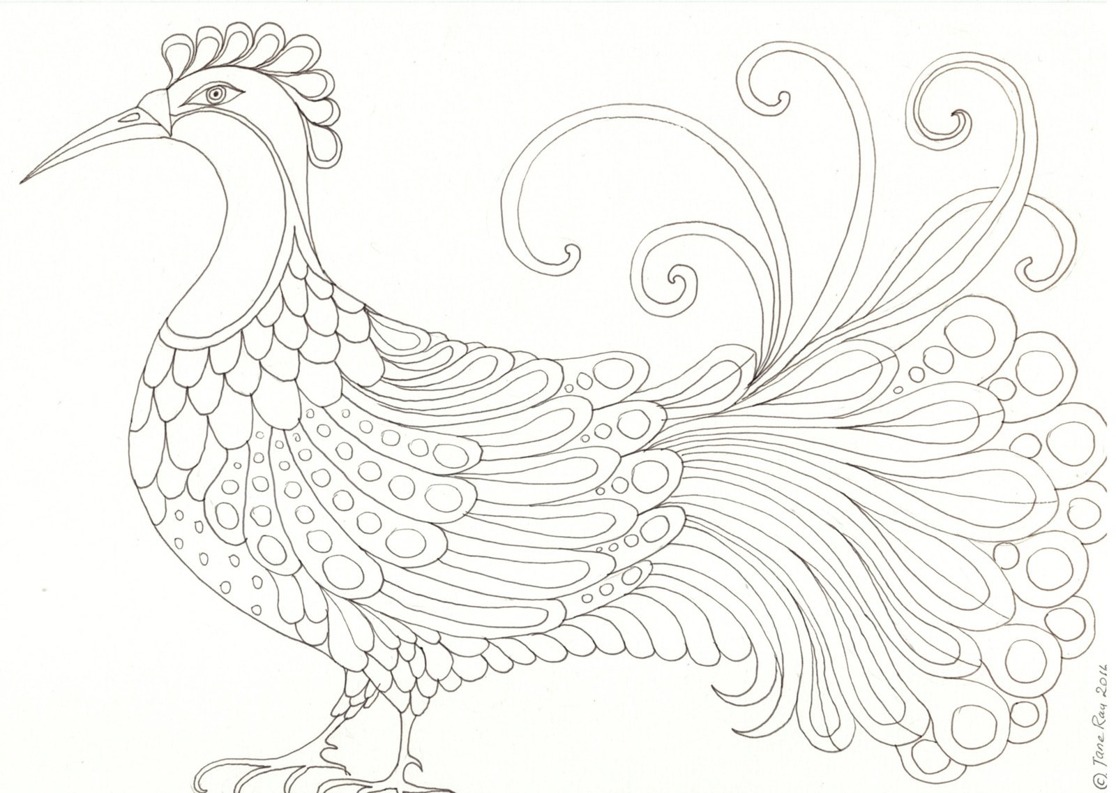 Big Bird colouring sheet by Jane Ray